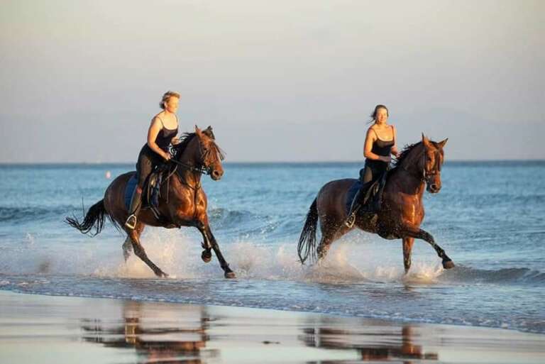 Horseback riding in Tarifa
