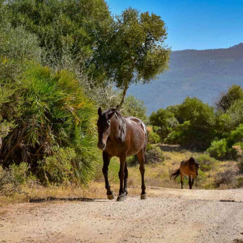Senderismo Tarifa - Que hacer en Tarifa sin viento
