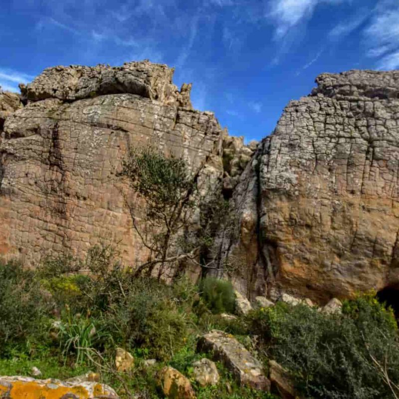 Randonnée Betis Tarifa