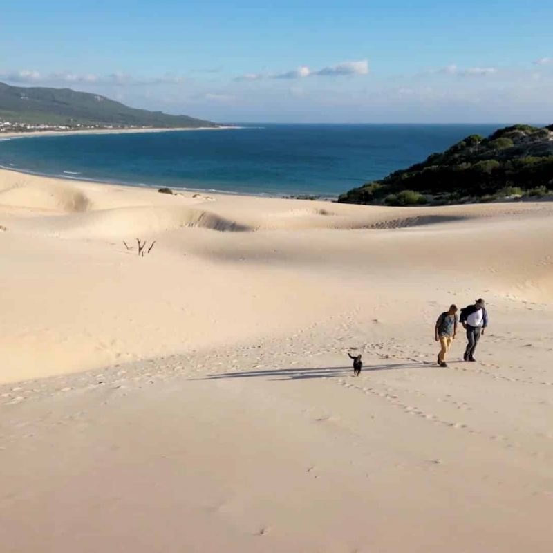 Duna de Bolonia Tarifa