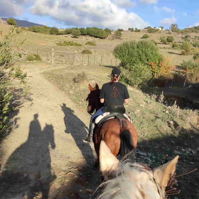 Randonnée equestre Tarifa
